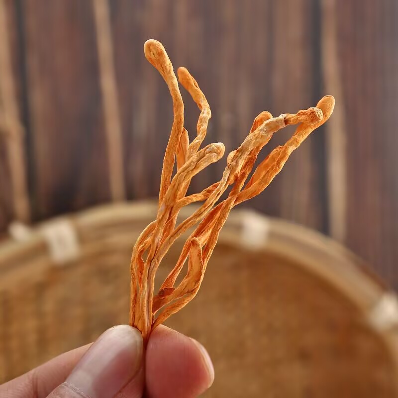 High-quality Dry Cordyceps Flo - Baby Products Soap review and price